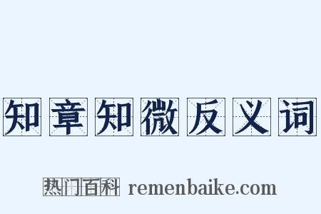 知章知微反义词是什么意思的图片